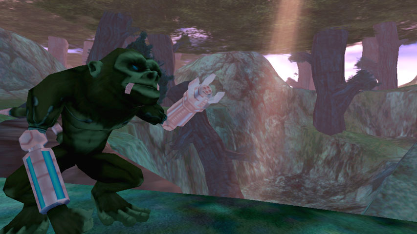 Monkey Encounter